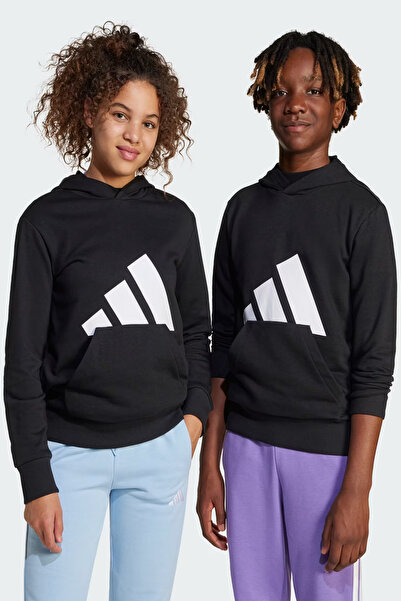 adidas Essentials Big Logo Children's Hooded Casual Sweatshirt