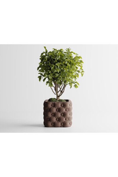 Sani Vază „Chesterra BIG” 136 x136 x H118mm - Maro închis mat