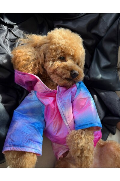 VERAPAWS Small Breed Double-Sided Dog Raincoat Vera Paws Water Repellent Hooded Color Transitioning Design