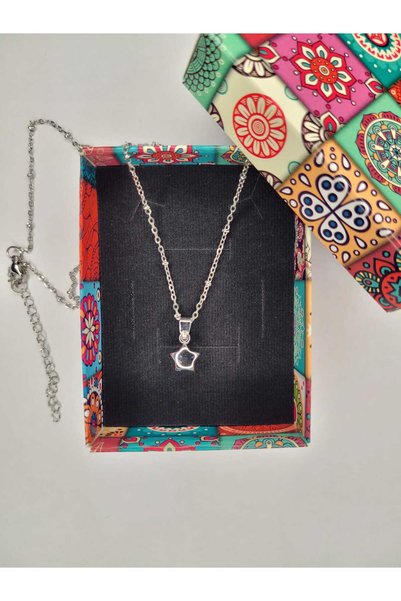 ÖZÇTAKI 316 L Stainless Steel - Anti-Allergic - Non-Tarnish - Steel Chain - Steel Small Star End - Design Necklace