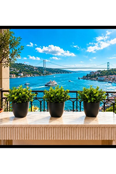 Evim de Evim 3 lü yapay bitki premium ev raf ve masa üstü kaliteli ürün