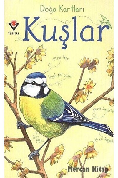 Tübitak Yayınları Tübitak Doğa Kartları / Kuşlar