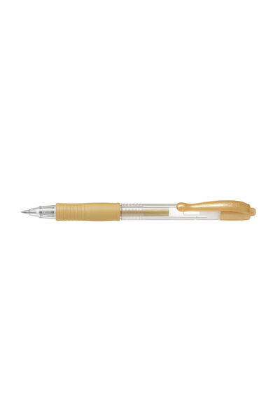 Pilot auriu
