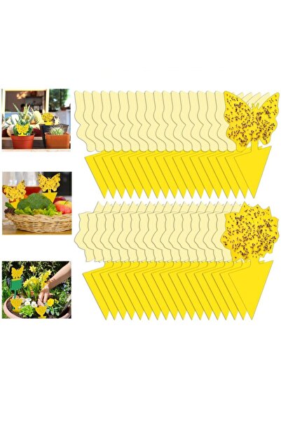 Choice 36 pieces 36 Pieces/set of Yellow Insect Traps, Garden Flower Traps, T...