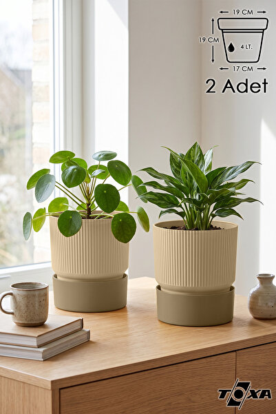 ToXA 2 Adet 4 Litre Krem Iksora Saksı Dekoratif Tabaklı Çiçek Kaktüs Saksısı ...