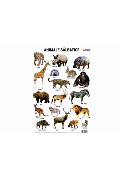 Arhi Design Poster A4 cu animale sălbatice din lume