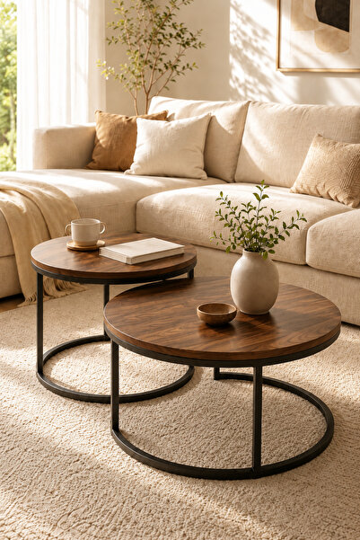 DONGXING Round coffee center table set (2 pieces), nested center wooden table...