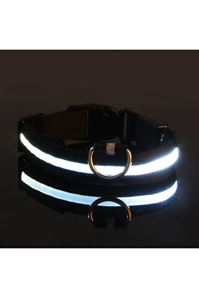 Choice XS neck 28-38cm black Dog Collar Nylon LED Night Safety Flashing Glow ...