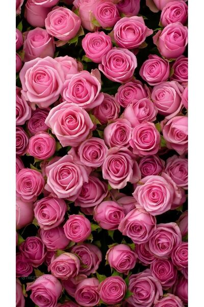 Store.sedas Buchet 101 trandafiri de sapun