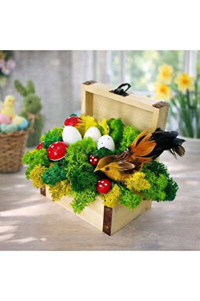 velve Decoratiune handmade cu licheni stabilizati si elemente de decor, Multi...