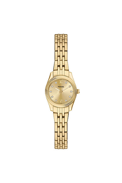Fossil FES5474 Kadın Kol Saati