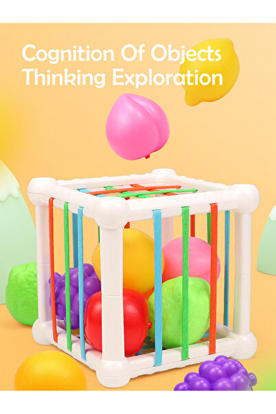 Choice Cube Toy Montessori Rainbow Cube Sensory Shape Sorter Toy for Toddlers...