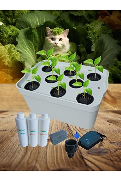 TarımSuda Topraksız Tarım Mini Set Beyaz Hidroponik Set Suda Tarım Hobi Seti