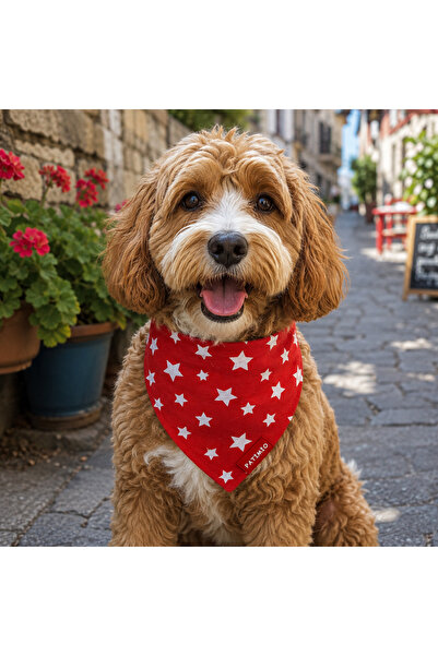 PATİMİO Red Stars Cat And Dog Collar Scarf Bandana
