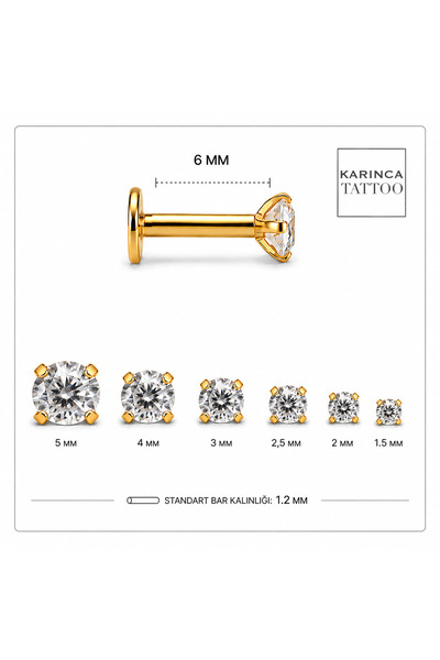Karınca Piercing Taşlı Piercing Kulak Tragus Forward Helix Flat Conch Dudak Burun Nostril Kıkırdak Cerrahi Çelik Küpe