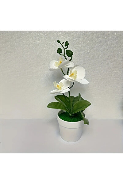 Choice white Artificial Orchid, Home/Office Decoration - Display of Living Ro...