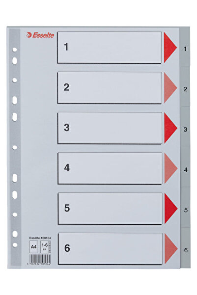 Esselte index, plastic, A4, 1-6, gri