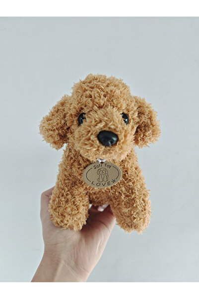 choice2 Gold Teddy Dog Plush Toy for Pet Interactive Chew-resistant Puppy Tee...