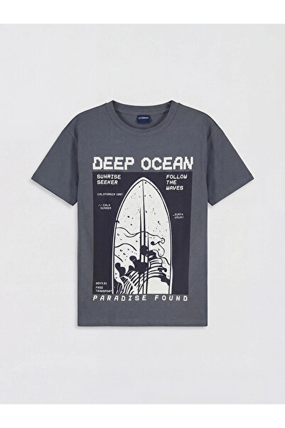 LC Waikiki Lcw Kids Gray Crew Neck Printed Boys T-Shirt