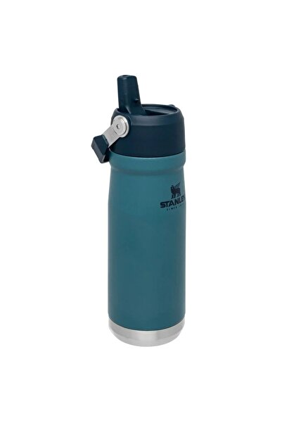 Stanle Insulated Water Bottle with Handle Flip Straw Lid Leakproof Stainless ...