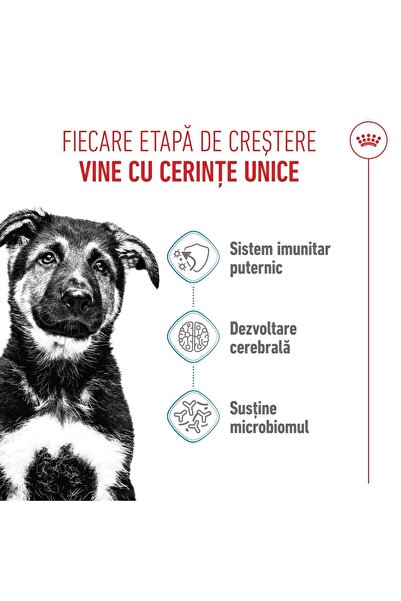 Royal Canin Hrană uscată Maxi Puppy pentru căței de rasă mare, 2-15 luni, 3 kg