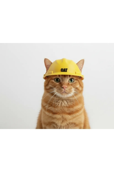 FLEXIS WE MAKE IT POSSIBLE FOR YOU Dekoratif Mini Kedi Bareti - Eğlenceli Ked...