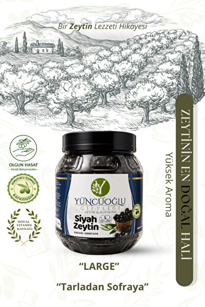 Çiftliği Doğal Salamura Siyah Zeytin Large L Boy 231-260 Kalibre Katkısız ve Koruyucusuz Net 900 gr