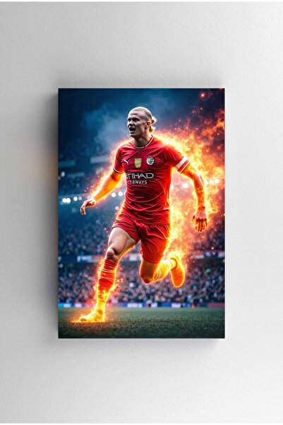 Efect Canvas Tablou Canvas - Erling Haaland Flaming Fast