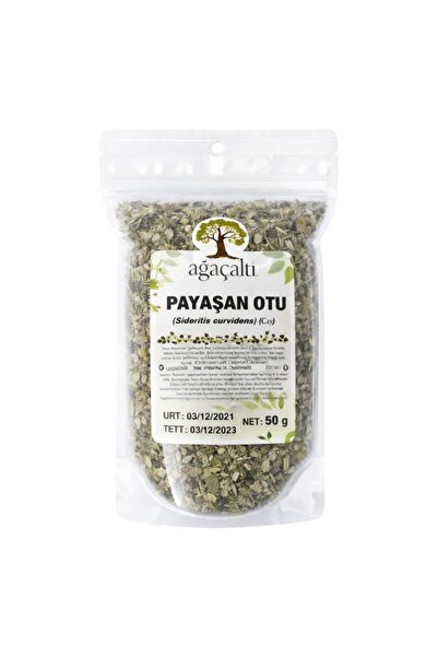 Ağaçaltı Payaşan Otu 50 Gr, Doğal Bitki Çayı, Kurutulmuş Payaşan Otu, Katkısı...