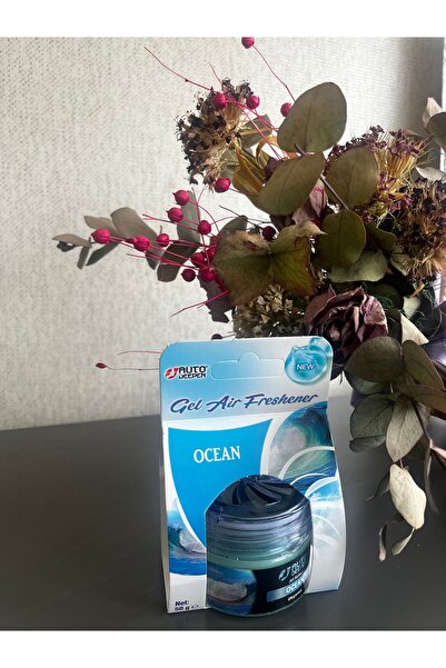 Deepen auto okyanus kokulu oto araç ve oda jel kokusu 1 adet