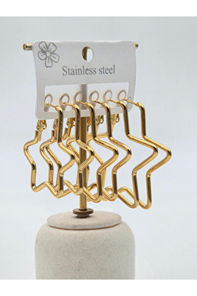Bozhi Steel Earrings Business Woman Style Stylish Gift