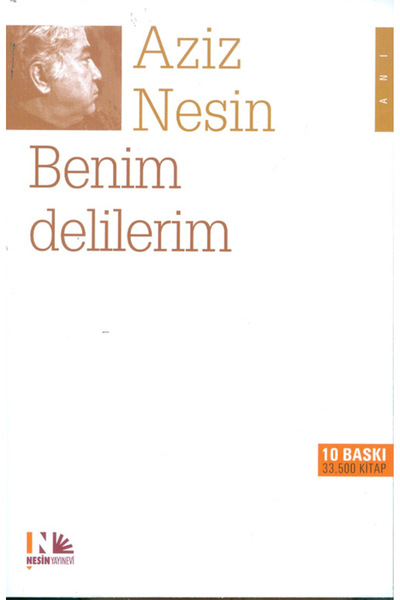 Nesin Yayınevi Benim Delilerim