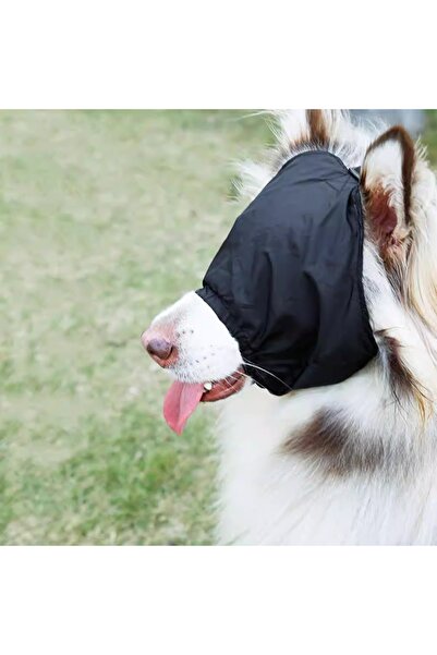 Choice L black Pet Supplies Dog Outdoor Light-blocking Anti-excitement Pressu...