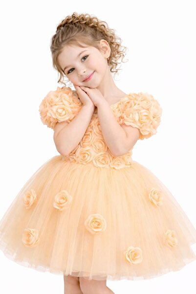 ZEYBABY Girl's Birthday Party Special Day Dress
