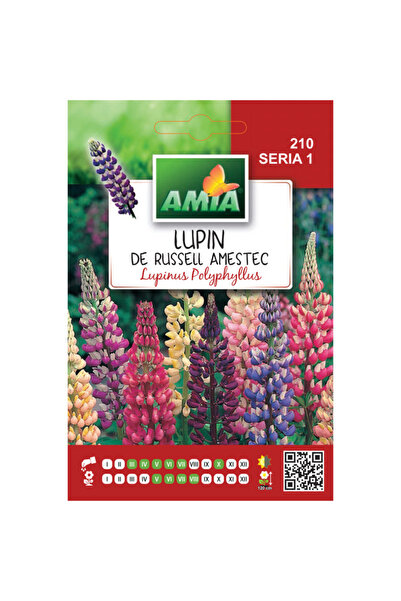 Amia Seminte de flori Lupin hibrid de Russell amestec culori, 0,5 g