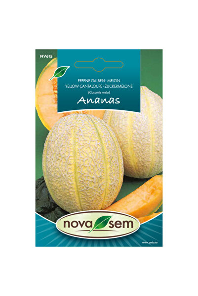Novasem Seminte de pepene galben ananas Novasem, 1 g