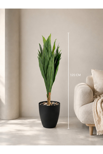 Rafef 120 cm Tall Drassena Tree with Stand