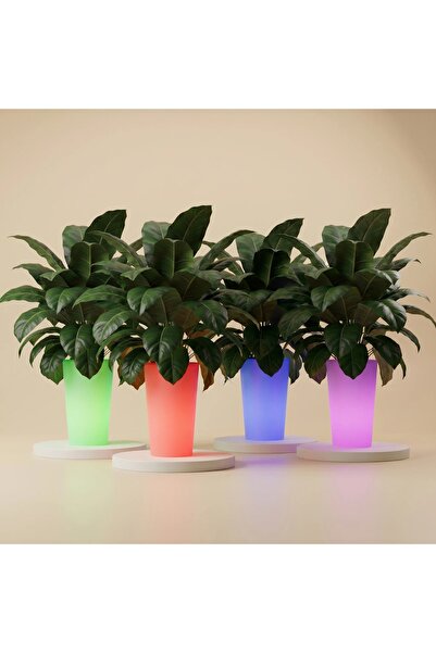 MYASEM STORE RGB Tall Planter Pot Set 4 Piece Illuminated Indoor Outdoor Gard...
