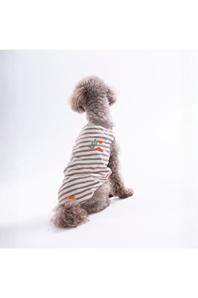 Pawstar Cactus EmbroLine Tişört Kedi Köpek Tişörtü-Kedi Köpek Kıyafeti