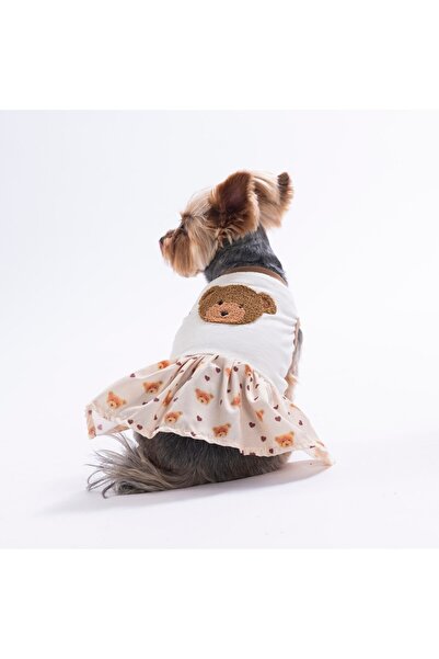 Pawstar Teddy Belle Teddy Bear Patterned Cat and Dog Dress - Cat and Dog Outfit