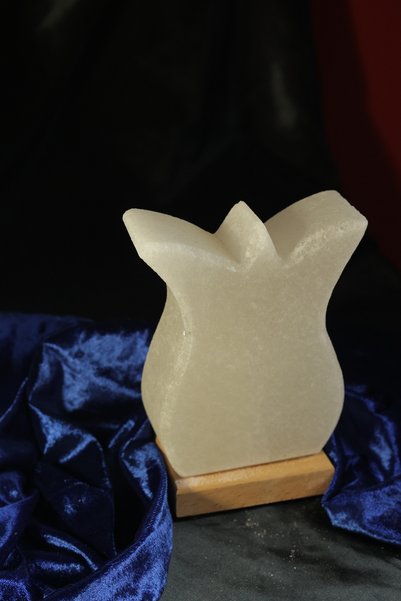 TUZCU KENAN White Tulip Model Salt Lamp with Wooden Base Decorative Ambient Lamp