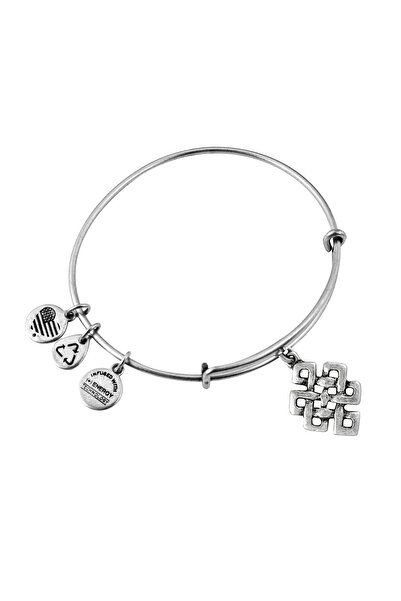 Alex and Ani Bratara Metal A10EB142RS