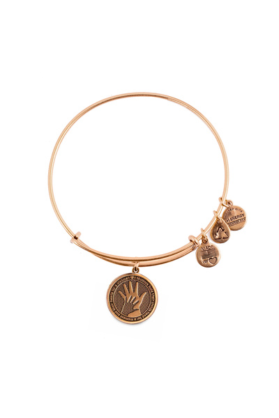 Alex and Ani Bratara Metal A14EB25RG