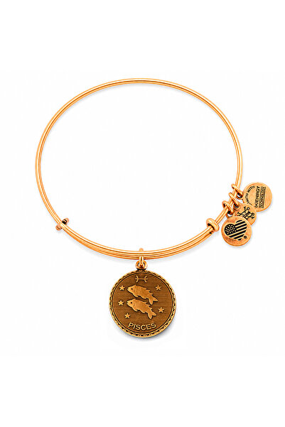 Alex and Ani Bratara Metal A07EB40PIRG