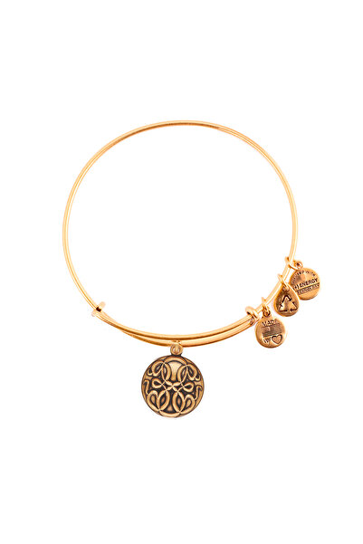 Alex and Ani Bratara Metal A16EBPOLRG