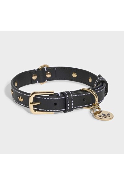 adidas Originals Siyah Pet Tasma (KY8799)