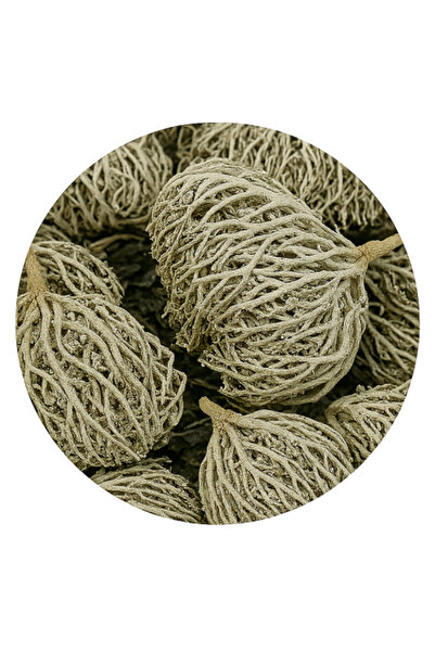 HERBS كاف مريم 100 جرام