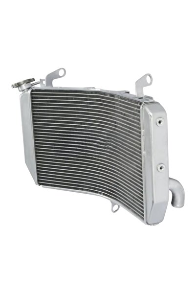 EVO MOTORS Radiator Yamaha FZ10 MT 10 MTN1000 2017 2021