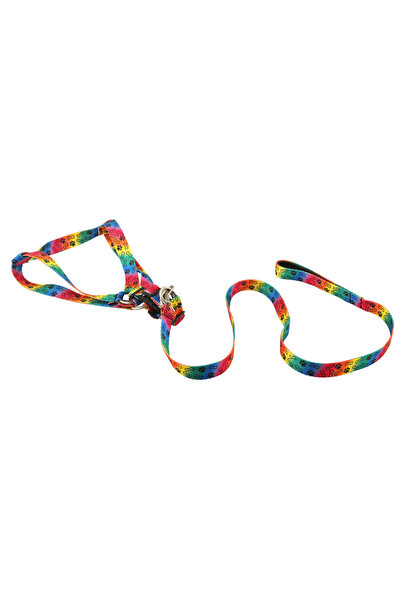 petcraft Multicolored 2-Pack Dog Collars