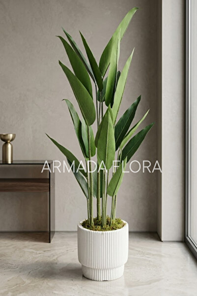 Armada Flora Dekoratif Yapay Starliçe Helikonya Ağacı - Modern Beyaz Saksılı ...